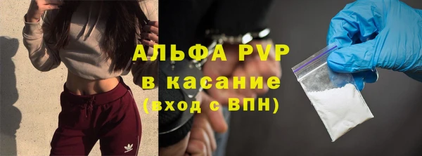 спайс Богданович