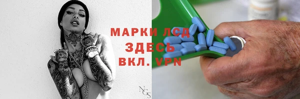 спайс Богданович