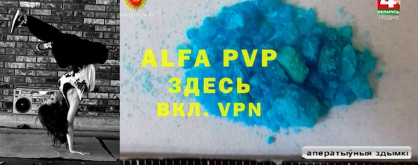 спайс Богданович